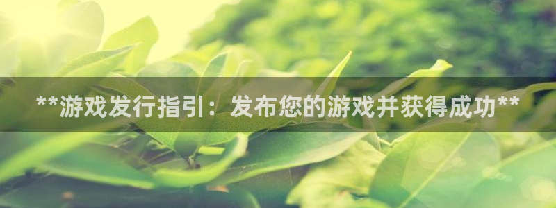 顺盈平台注册网址：**游戏发行指引：发布您的游戏并获得成功**