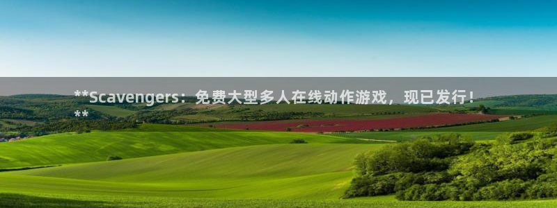 顺盈娱乐官网首页入口网址：**Scavengers：免费大型多人在线动作游戏，现已发行！
**