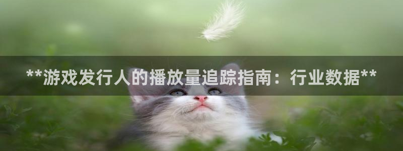 顺盈平台注册流程图：**游戏发行人的播放量追踪指南：行业数据**