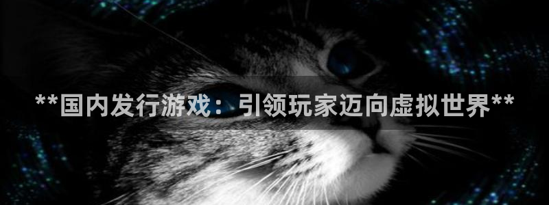 顺盈娱乐3.8.2.2.2.3安：**国内发行游戏：引领玩家迈向虚拟世界**