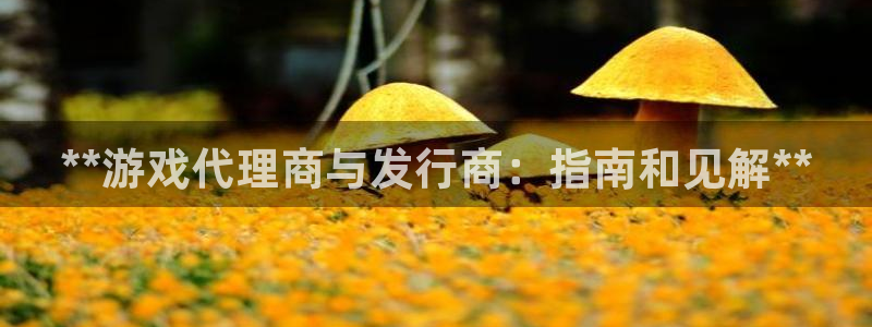 顺盈娱乐主管十7O777：**游戏代理商与发行商：指南和见解**