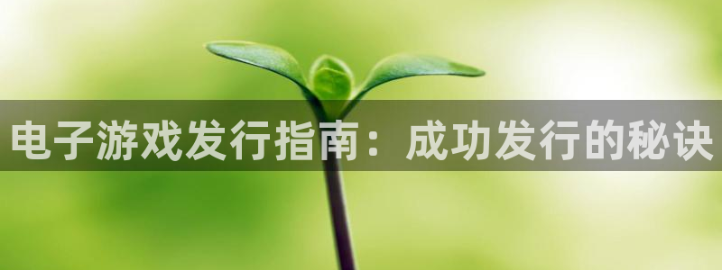 顺盈娱乐官网首页入口网站：电子游戏发行指南：成功发行的秘诀
