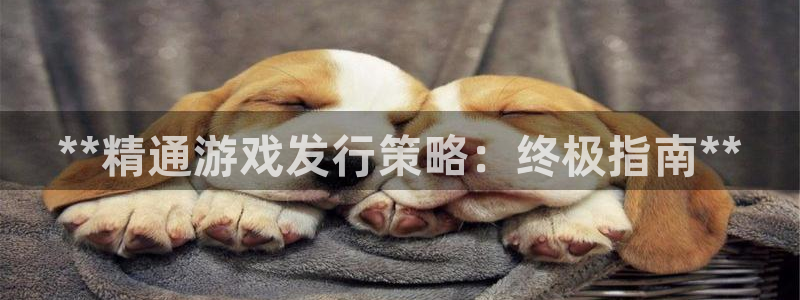 顺盈网络科技有限公司电话：**精通游戏发行策略：终极指南**