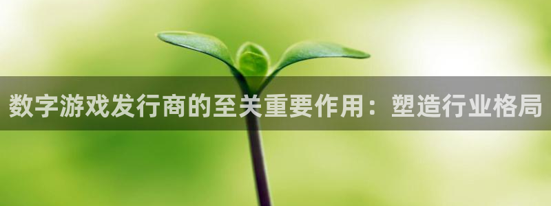 顺盈娱乐官网首页登录网址：数字游戏发行商的至关重要作用：塑造行业格局