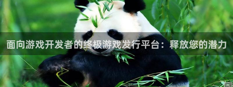 顺盈娱乐平台提现被关闭怎么回事儿：面向游戏开发者的终极游戏发行平台：释放您的潜力