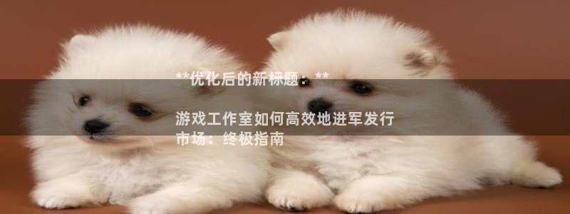 顺盈实业：**优化后的新标题：**

游戏工作室如何高效地进军发行
市场：终极指南