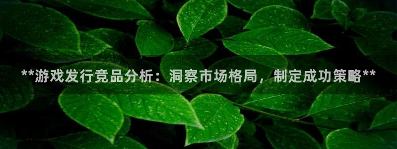 顺盈娱乐平台最新活动时间：**游戏发行竞品分析：洞察市场格局，制定成功策略**