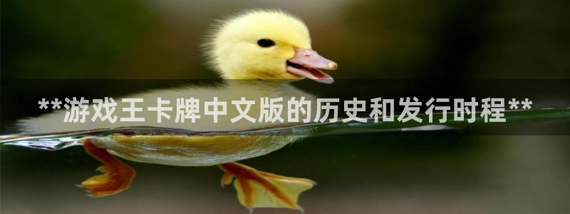 顺盈平台注册流程图片：**游戏王卡牌中文版的历史和发行时程**