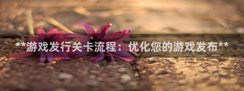 顺盈平台注册资金多少钱：**游戏发行关卡流程：优化您的游戏发布**