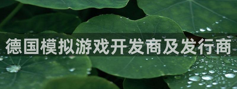 顺盈娱乐主管十7O777：德国模拟游戏开发商及发行商