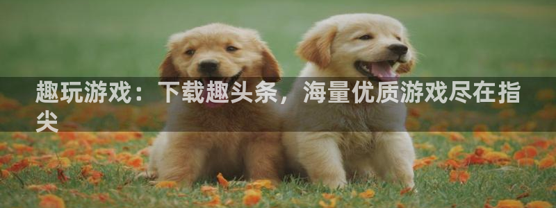 顺盈娱乐用什么加速器可以登录账号呢：趣玩游戏：下载趣头条，海量优质游戏尽在指
尖