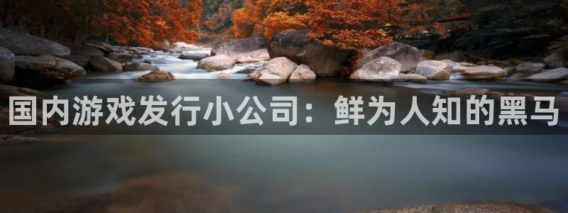 顺盈娱乐公司介绍：国内游戏发行小公司：鲜为人知的黑马