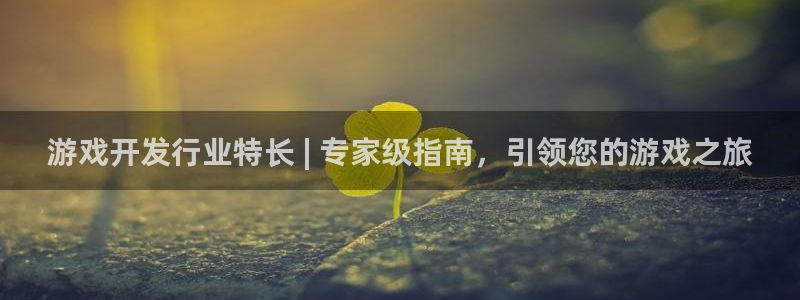 顺盈平台怎么样可靠吗：游戏开发行业特长 | 专家级指南，引领您的游戏之旅