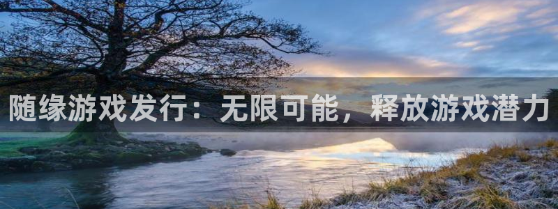 顺盈娱乐平台最新活动：随缘游戏发行：无限可能，释放游戏潜力