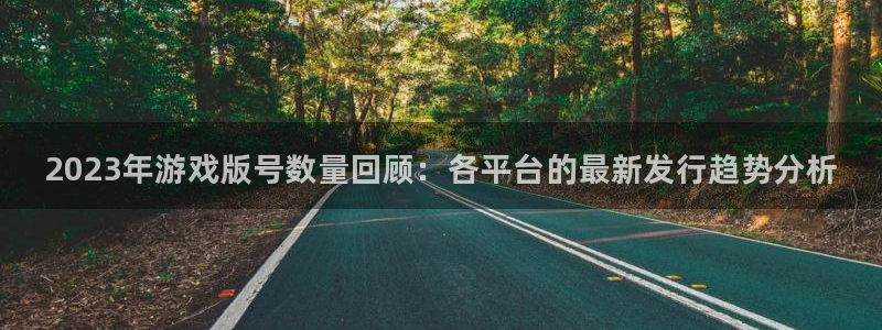 顺盈娱乐公司介绍怎么写文案