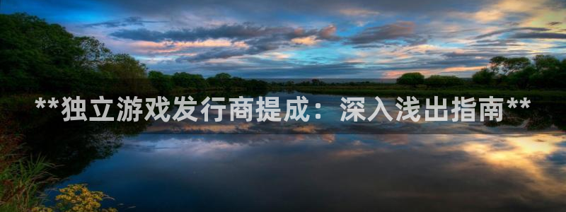顺盈注册：**独立游戏发行商提成：深入浅出指南**