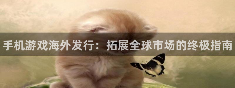 顺盈娱乐登录平台是什么意思啊：手机游戏海外发行：拓展全球市场的终极指南
