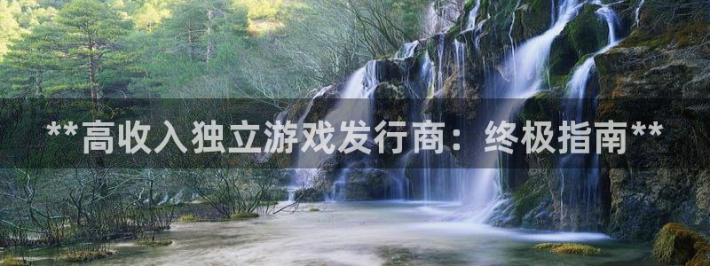 顺盈平台主管：**高收入独立游戏发行商：终极指南**