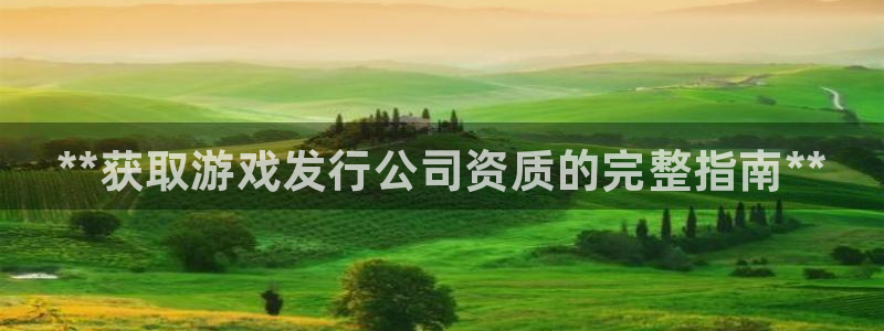 顺盈平台怎么注册：**获取游戏发行公司资质的完整指南**