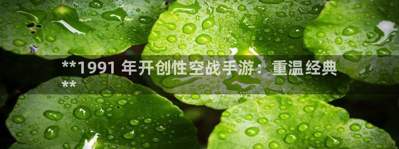 顺盈娱乐平台提现被关闭怎么回事啊苹果：**1991 年开创性空战手游：重温经典
**