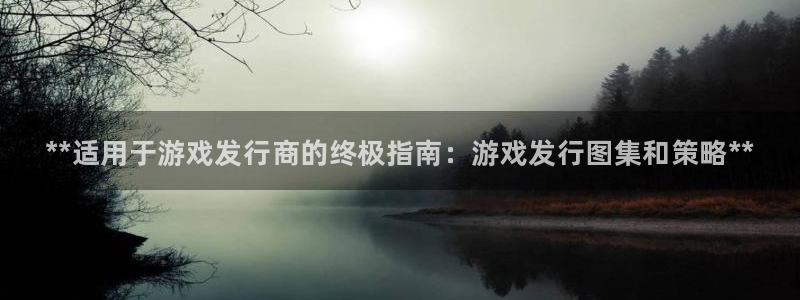 顺盈娱乐登录平台是什么平台啊：**适用于游戏发行商的终极指南：游戏发行图集和策略**