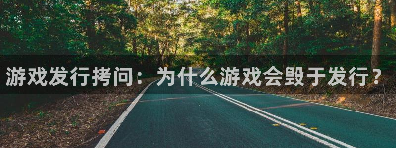 顺盈娱乐登录平台是什么平台：游戏发行拷问：为什么游戏会毁于发行？