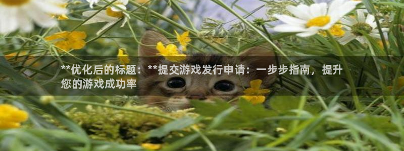 顺盈娱乐领导联系方式：**优化后的标题：**提交游戏发行申请：一步步指南，提升
您的游戏成功率