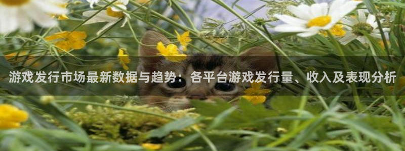 顺盈娱乐官网首页登录入口：游戏发行市场最新数据与趋势：各平台游戏发行量、收入及表现分析