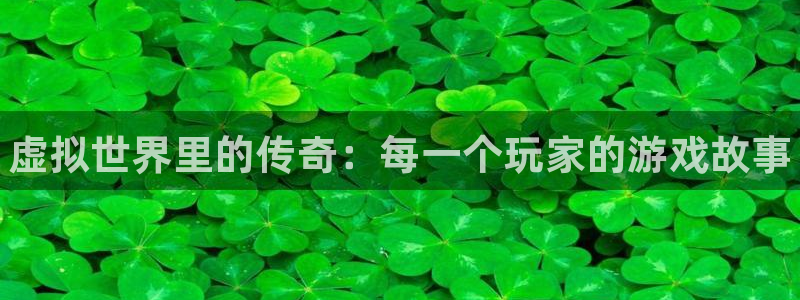 顺盈娱乐登录平台下载官网手机版：虚拟世界里的传奇：每一个玩家的游戏故事