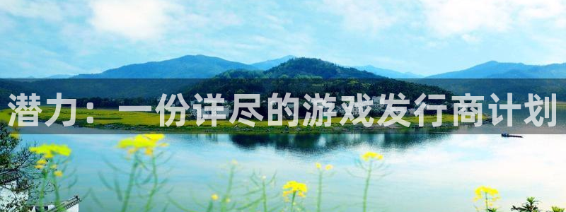 顺赢是什么意思：潜力：一份详尽的游戏发行商计划