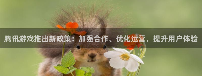 顺盈app是什么东西：腾讯游戏推出新政策：加强合作、优化运营，提升用户体验