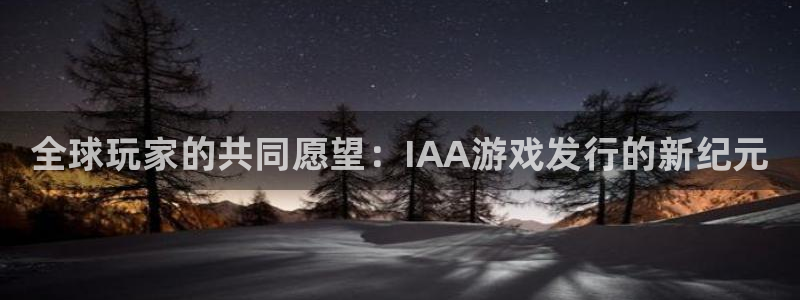 顺盈商贸有限公司：全球玩家的共同愿望：IAA游戏发行的新纪元