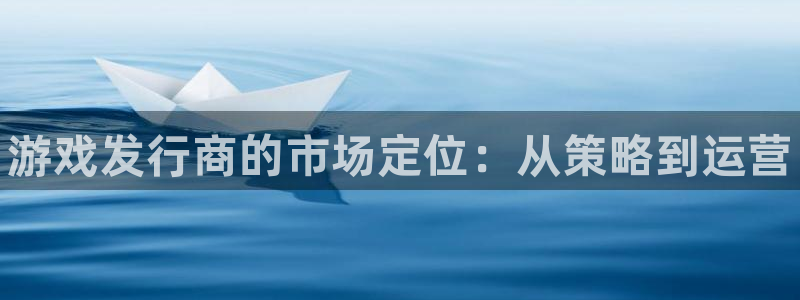 顺盈电子有限公司：游戏发行商的市场定位：从策略到运营