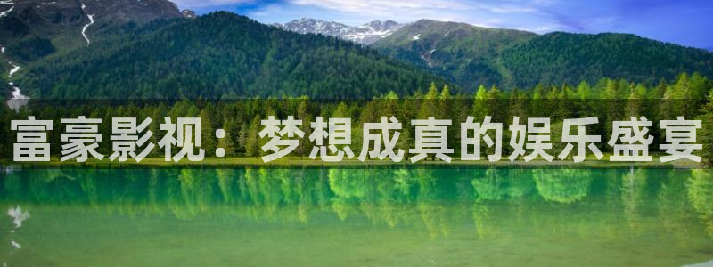 熊猫电视专卖