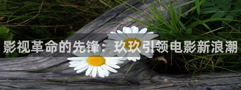 熊猫电影yy8y8怎么看高清