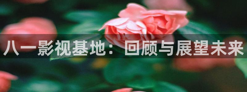 熊猫电影yy8y2免费观看高清