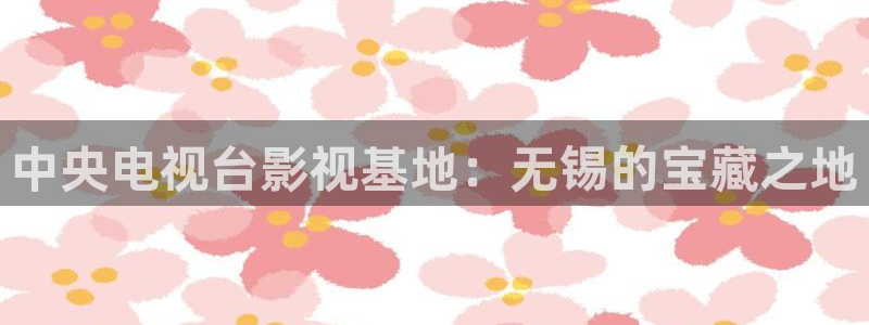 熊猫的电视