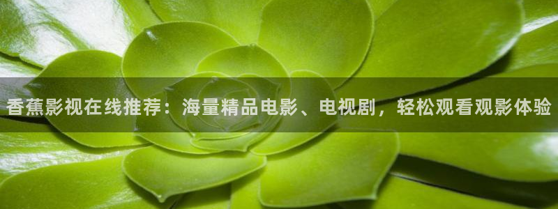 关于熊猫的电影