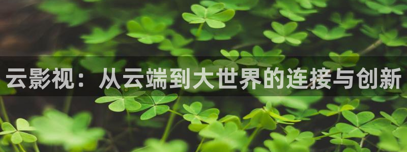 熊猫客